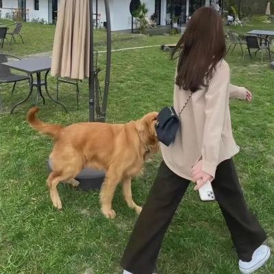 铁十字勋章
